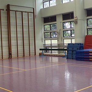 Gymnasium